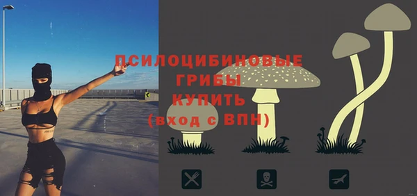 молекула духа Белоозёрский