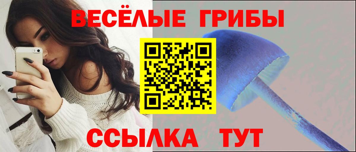 Галлюциногенные грибы GOLDEN TEACHER  Галлюциногенные грибы Magic Shrooms  Вход с VPN  Воскресенск 
